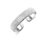 Charming Style Silver Toe Ring CTR-F04-02